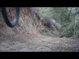 Must Watch Video