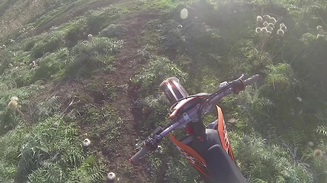 Must Watch Video