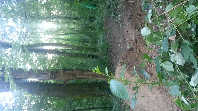 Must Watch Video