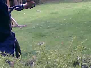Must Watch Video
