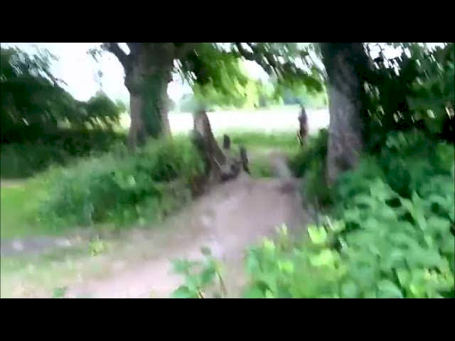 Must Watch Video