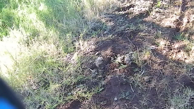 Must Watch Video