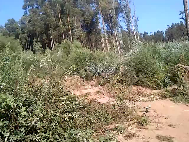 Must Watch Video