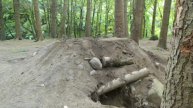 Must Watch Video