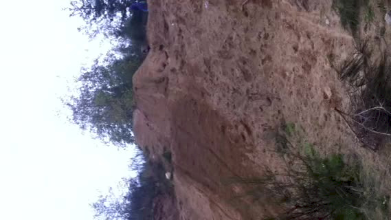 Must Watch Video
