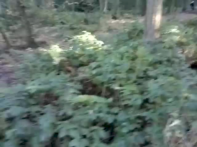 Must Watch Video