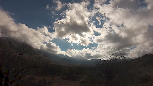 Must Watch Video