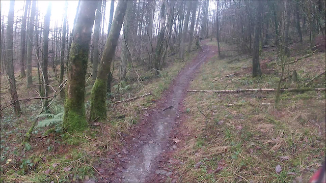 Must Watch Video