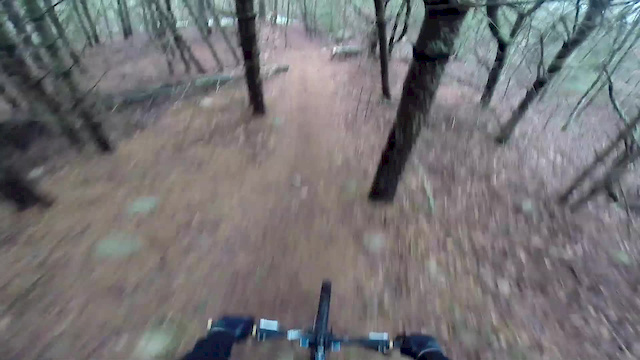 Must Watch Video