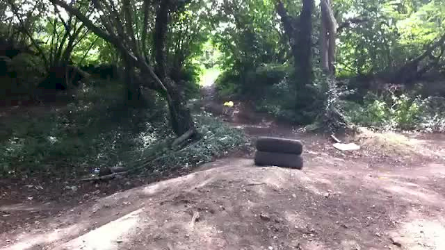 Must Watch Video