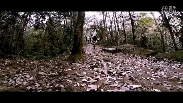Must Watch Video