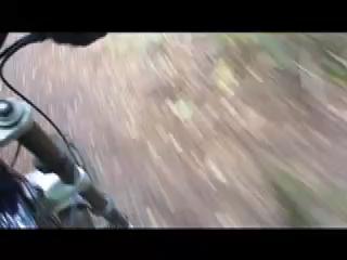 Must Watch Video