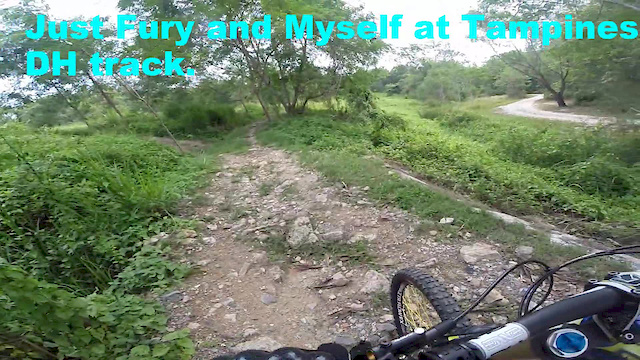 Must Watch Video