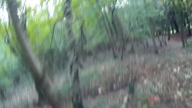 Must Watch Video