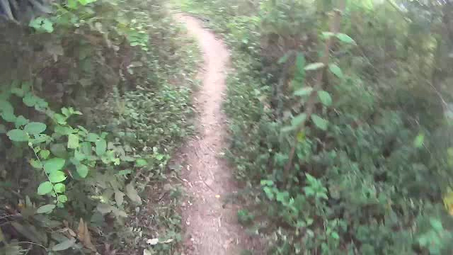 Must Watch Video