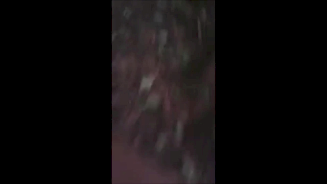 Must Watch Video