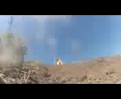 Must Watch Video