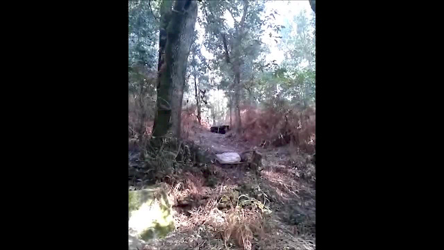 Must Watch Video