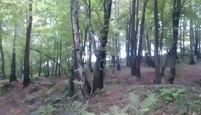 Must Watch Video