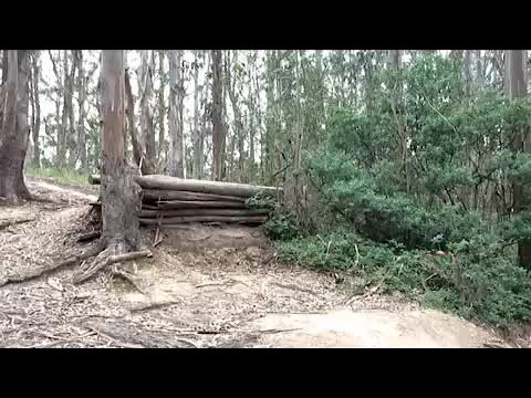Must Watch Video
