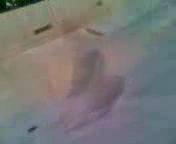 Must Watch Video