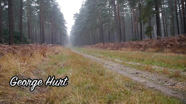 Must Watch Video