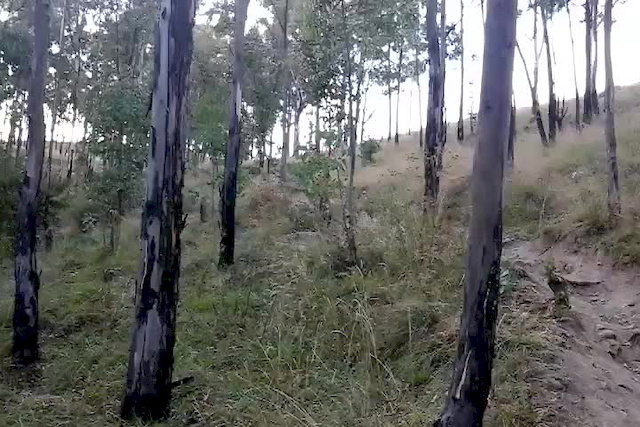 Must Watch Video