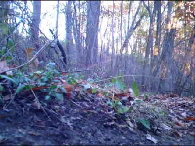 Must Watch Video