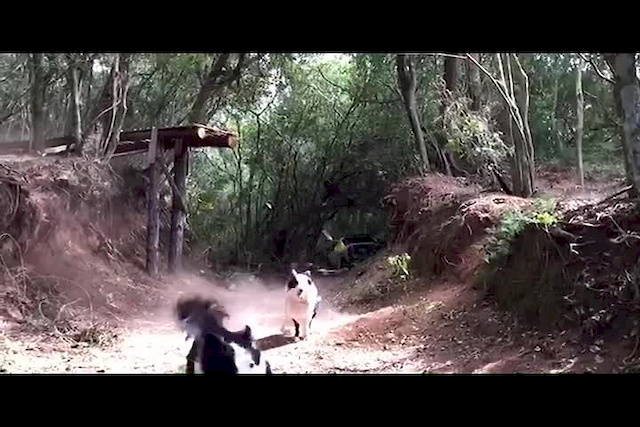 Must Watch Video