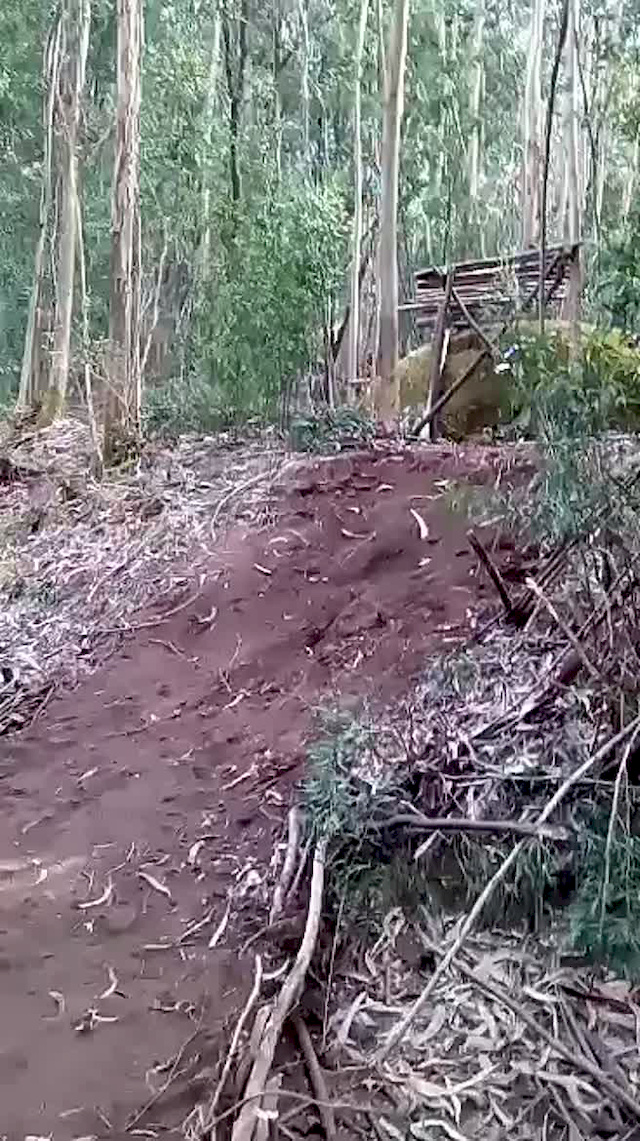 Must Watch Video