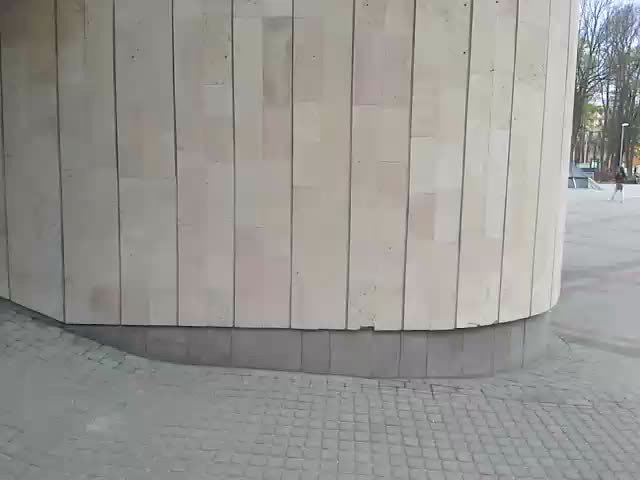 Must Watch Video