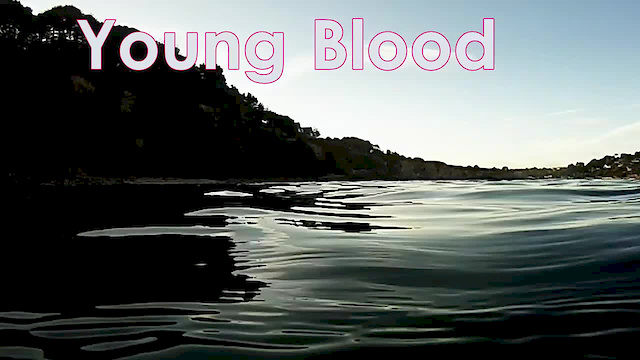 Must Watch Video