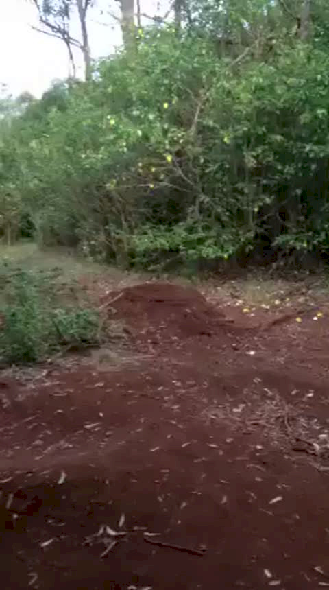 Must Watch Video