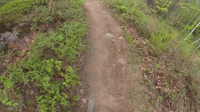 Must Watch Video