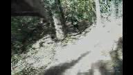 Must Watch Video
