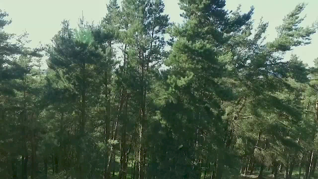 Must Watch Video