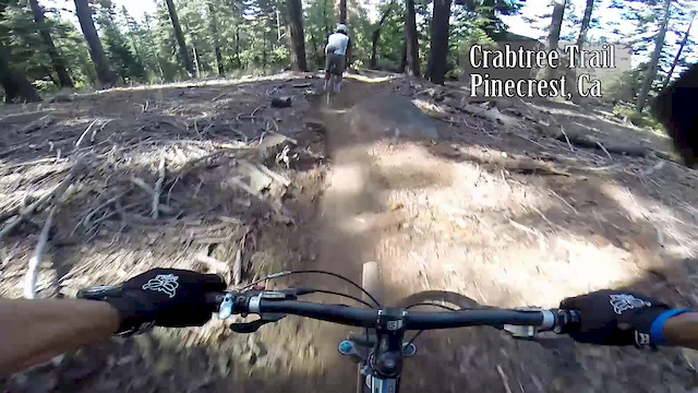 Crabtree Trail Pinecrest Ca Video Pinkbike