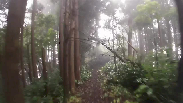 Must Watch Video
