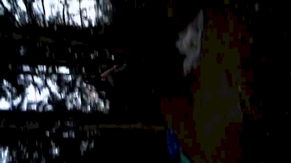 Must Watch Video