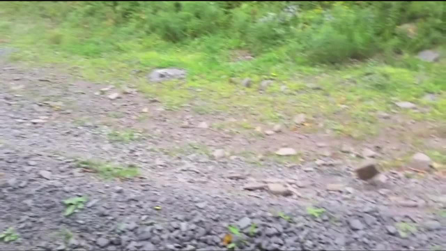 Must Watch Video