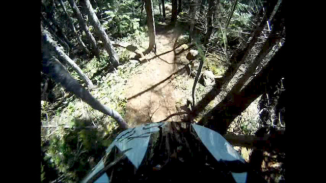 Must Watch Video