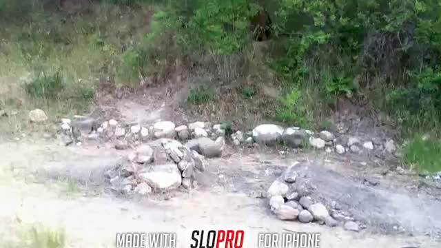 Must Watch Video