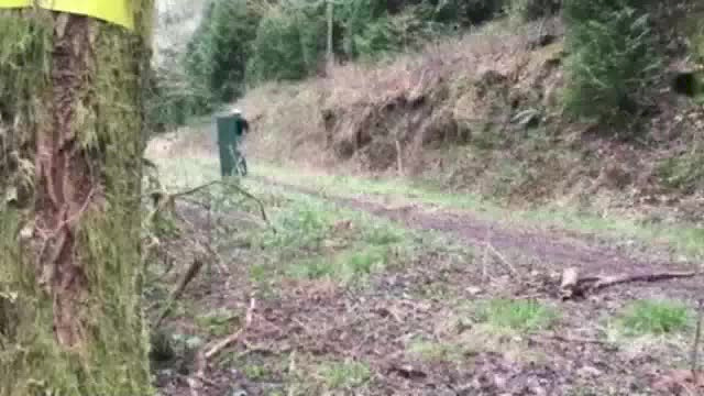 Must Watch Video