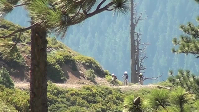 Must Watch Video
