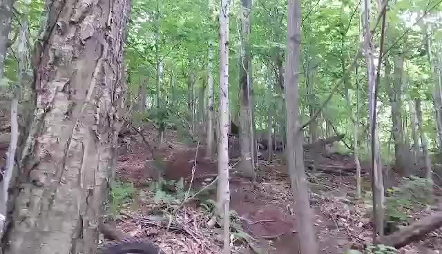 Must Watch Video