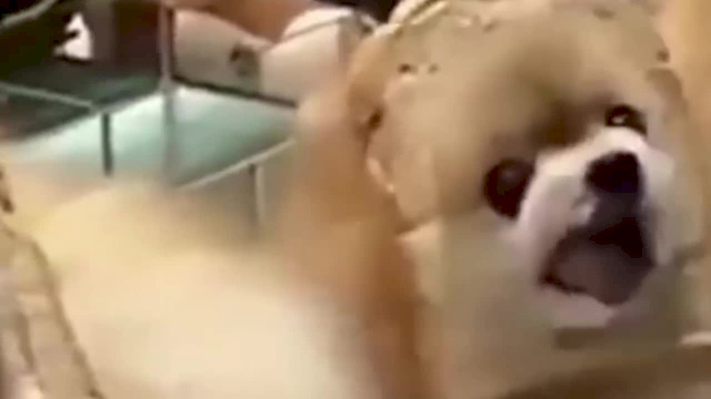 Must Watch Video