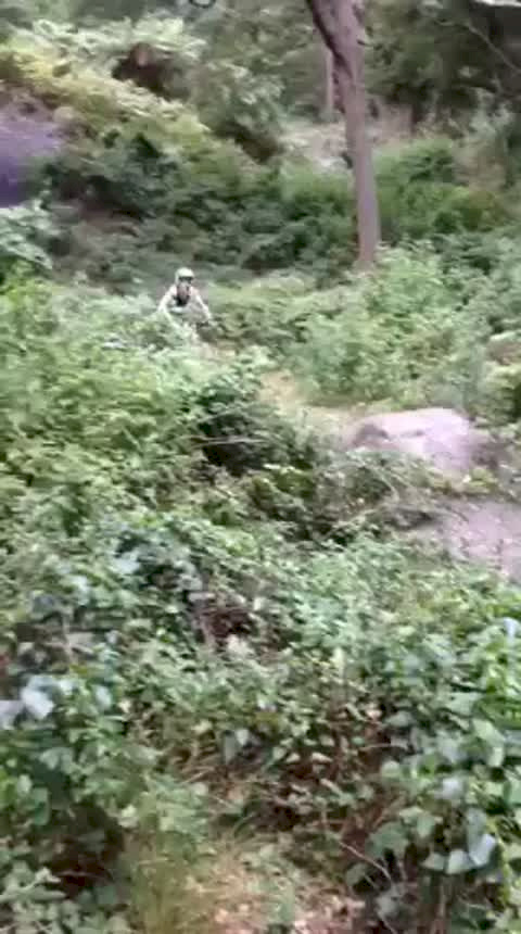 Must Watch Video