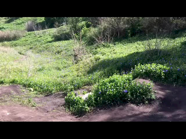 Must Watch Video