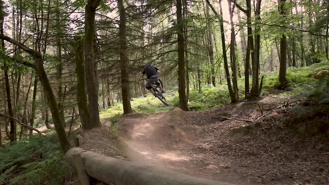 ribbesford bike park