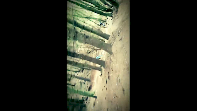 Must Watch Video